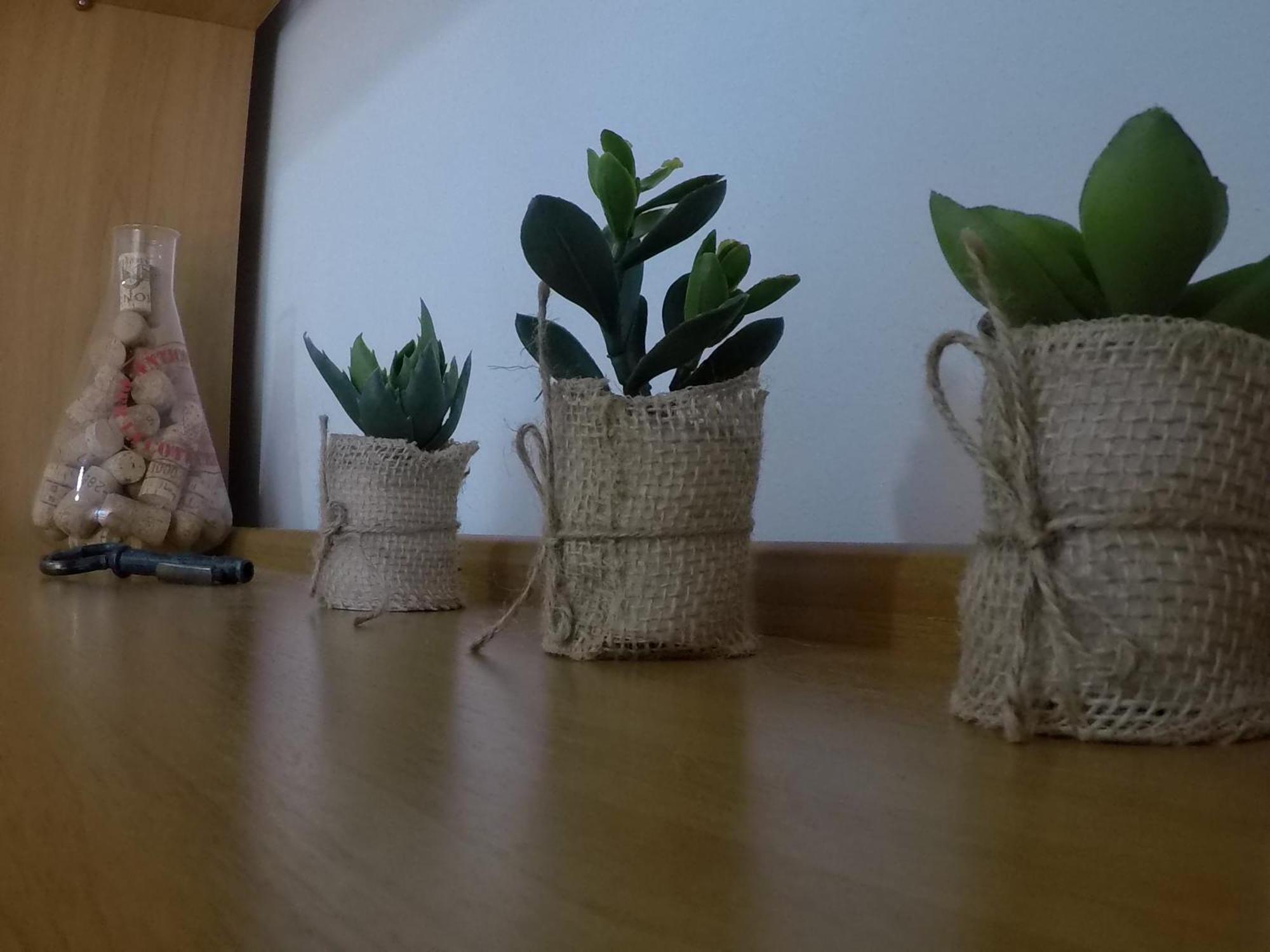 Sardinia-Holiday Casa Pesce Palla La Maddalena  Zewnętrze zdjęcie